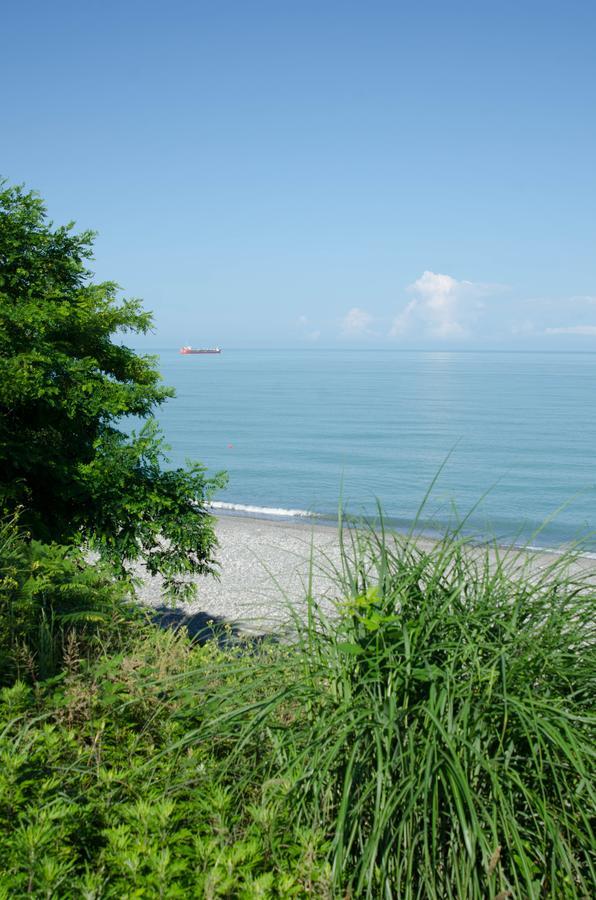 Batumi Green Cape Guest House Makhinjauri Exterior foto